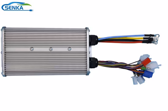 Elektrischer Linearantrieb 12V 24V DC 모터 1000mm 허브 선형 모션 컨트롤러 100n 200n 300n 500n